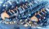 House Clearance Costs in the UK: The Essential Negotiation Guide