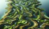 Bellville Golf Club: The Ultimate Golfing Destination