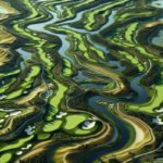 Bellville Golf Club: The Ultimate Golfing Destination
