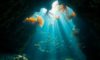 Belize Diving: Explore Secret Underwater Treasures Beyond Blue Hole