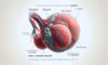 Essential Tips for Detection: Testicular Cancer Self-Exams
