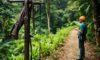 Canopy Tours: Experience Zip Lining in Belize’s Rainforest