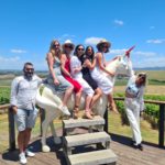 Yarra Valley Wineries: A 2025 Exploration Guide