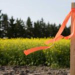 Subdivision Surveys in Clyde North: An Essential Guide