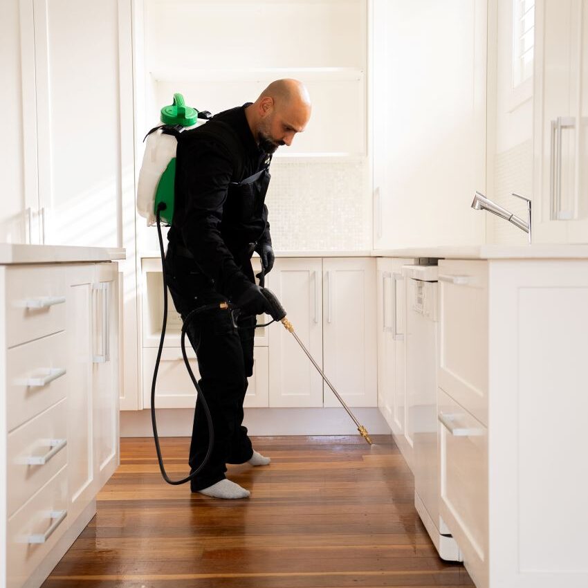 DIY Pest Control: The Shortcomings of Store-Bought Sprays