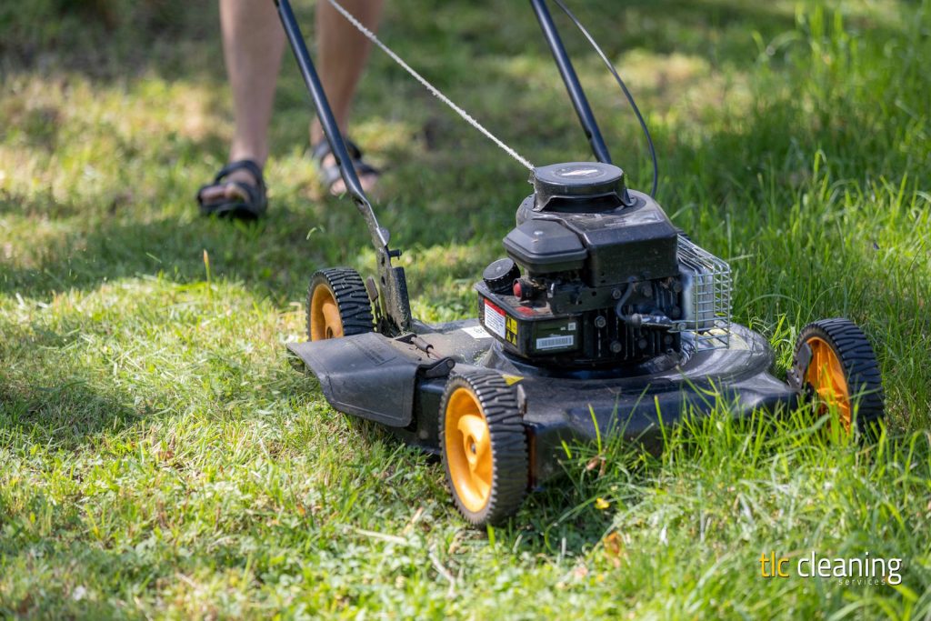 Grass Cutting Services: Key Tips for Yeovil Lawns