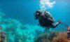Big Blue Hole Diving Guide: Essential Tips for Belize Adventures