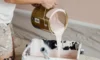 Exterior Paint Jobs: Tips for Thriving in Sydney’s Humidity