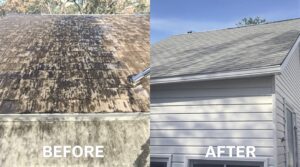 Explore Why Soft Washing is Essential for Thorough Home Maintenance