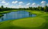 Golf Resorts in Florida: Explore Top Choices for Enthusiasts