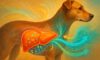 Liver Health Monitoring: Key Tips for Canine Care