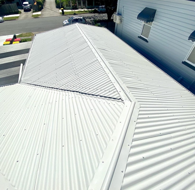 Roof Painting Costs: Insights from a Redlands Professional